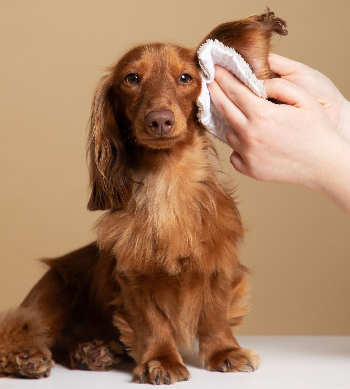 ear cleaning milk