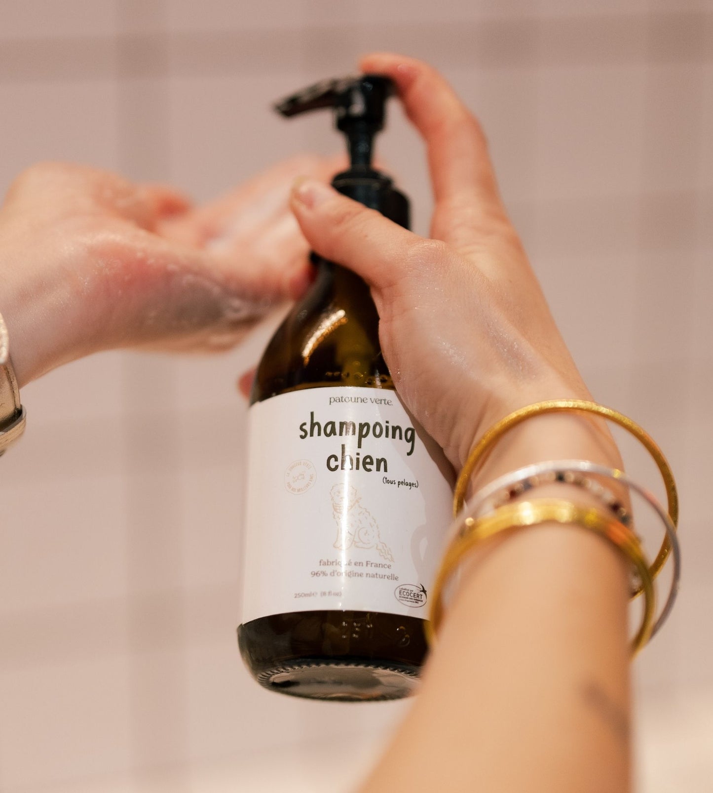 shampoo for all coats