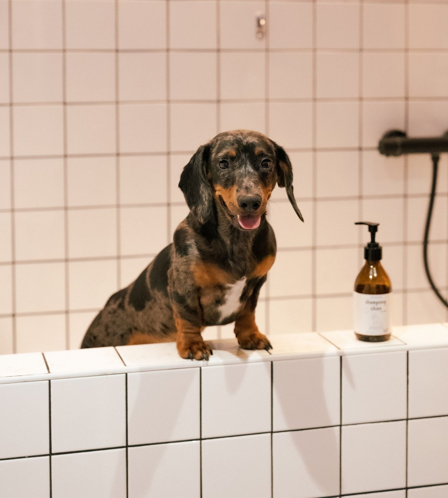 puppy shampoo
