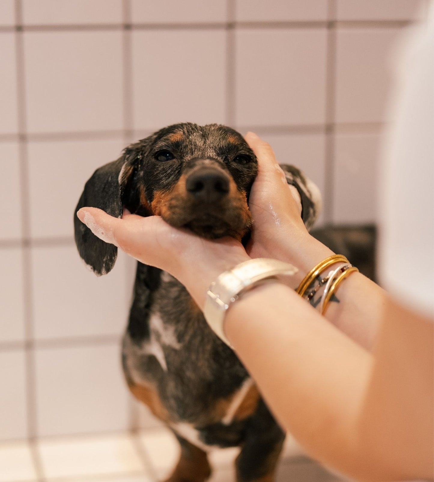 puppy shampoo