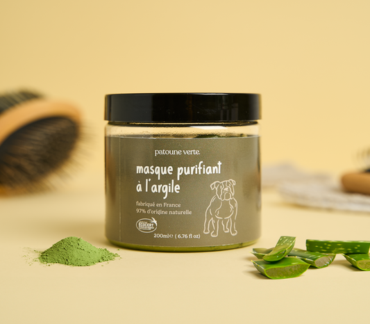 Les bienfaits d’un masque à l’argile pour le pelage et la peau de votre chien