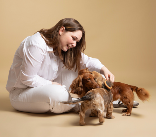 Les erreurs courantes lors du brossage de votre chien et comment les éviter