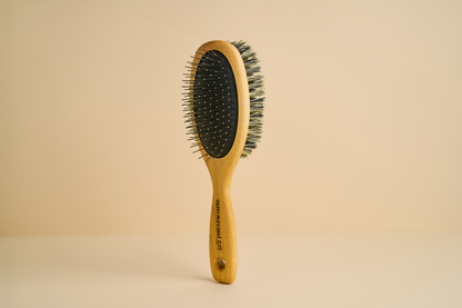 brosse 2 en 1