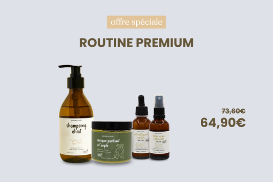 routine premium chiot