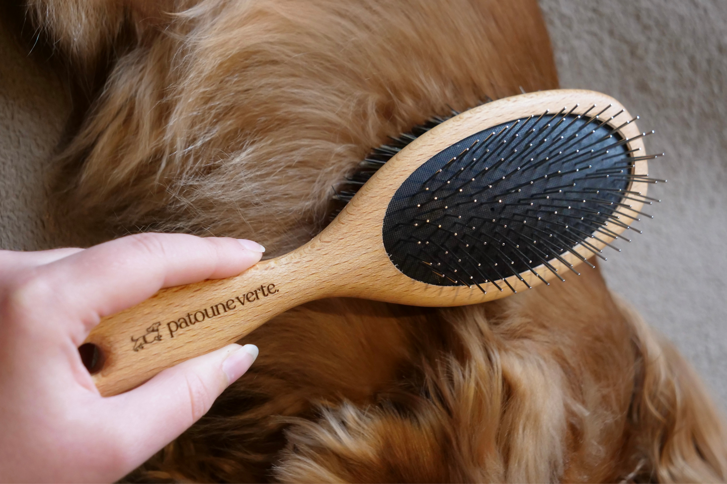 brosse 2 en 1