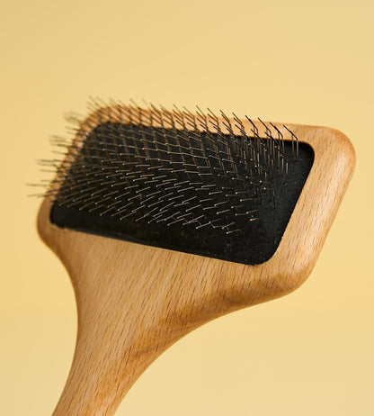 grooming card