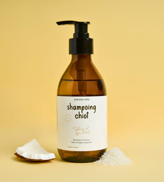shampoing chien et chiot