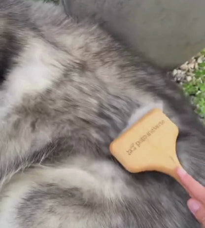 grooming card