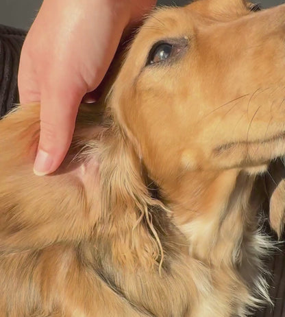 ear cleaning milk