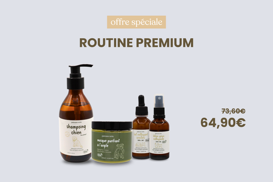 routine premium chien