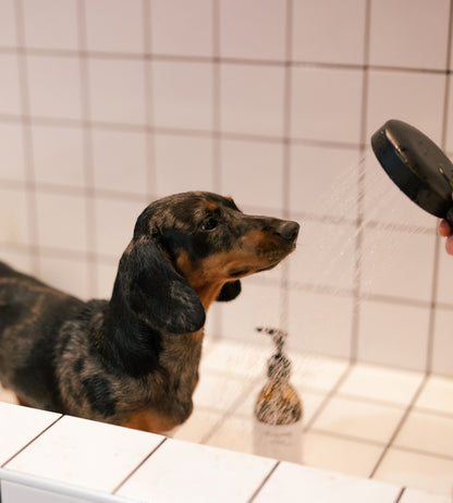 puppy shampoo