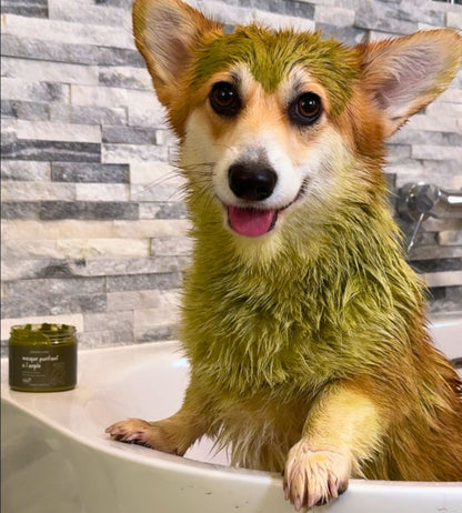 purifying mask